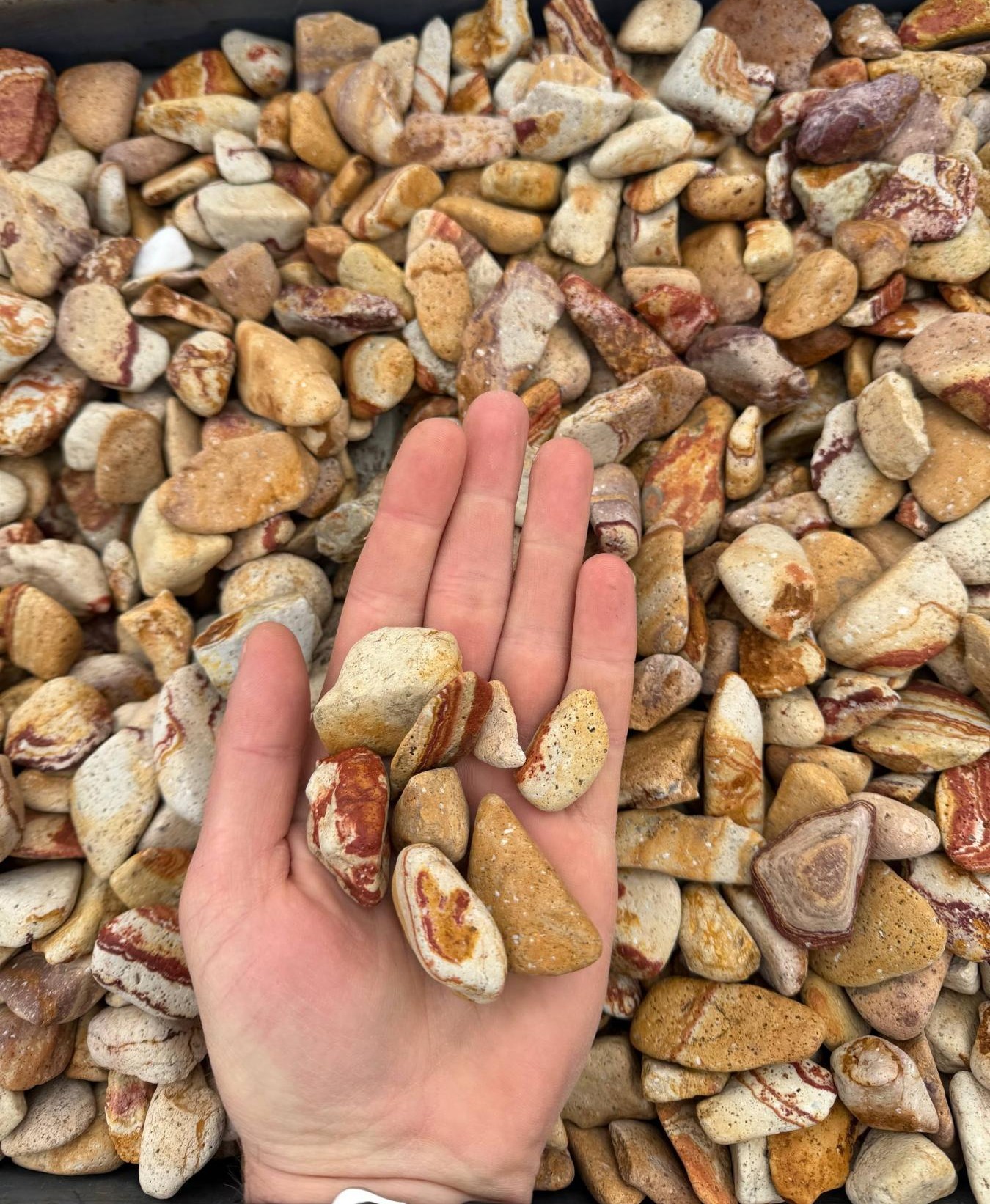 Галька Веселка Туречина(Rainbow)