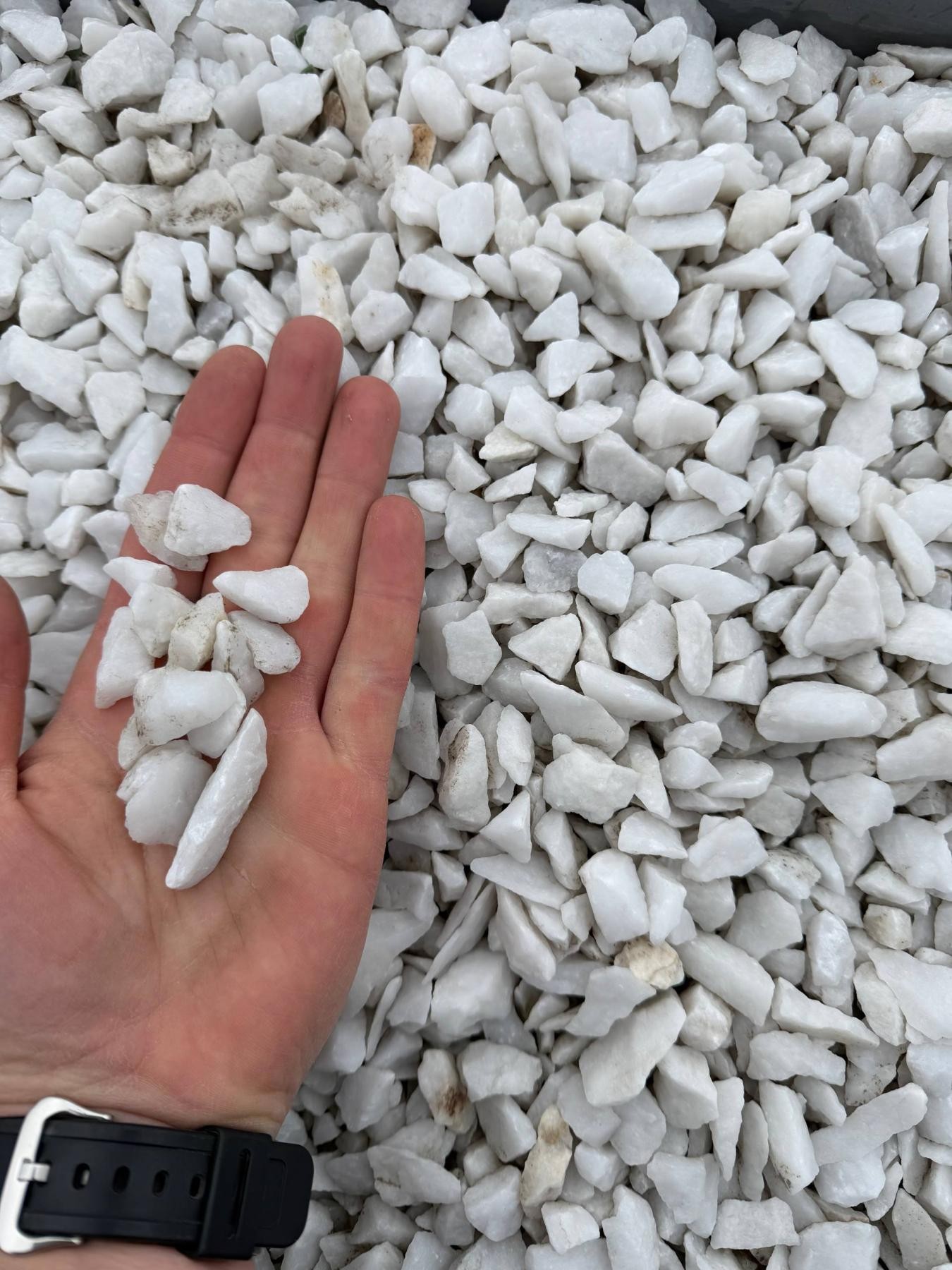 Крихта біла