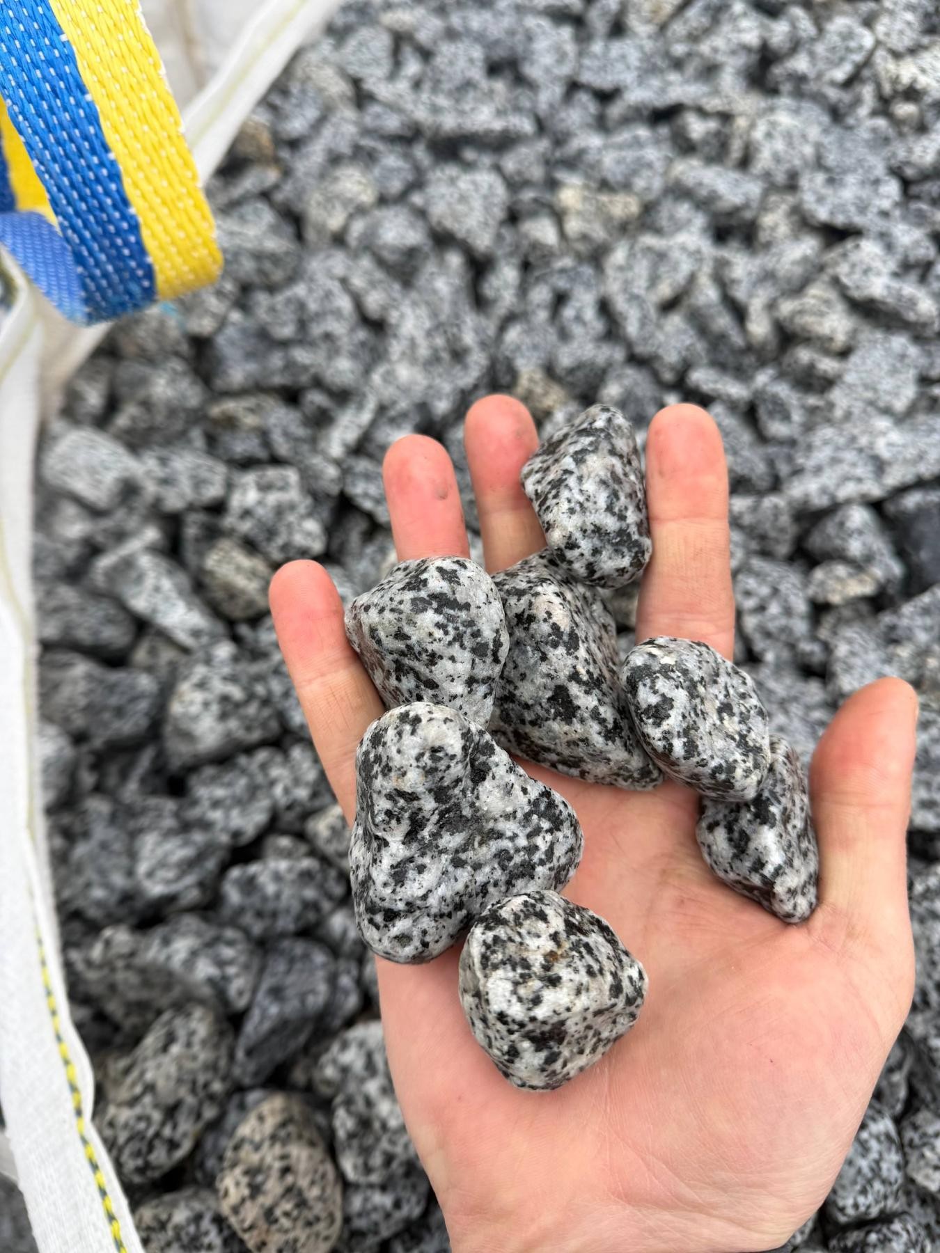 Галька покостівка   "Леопард"