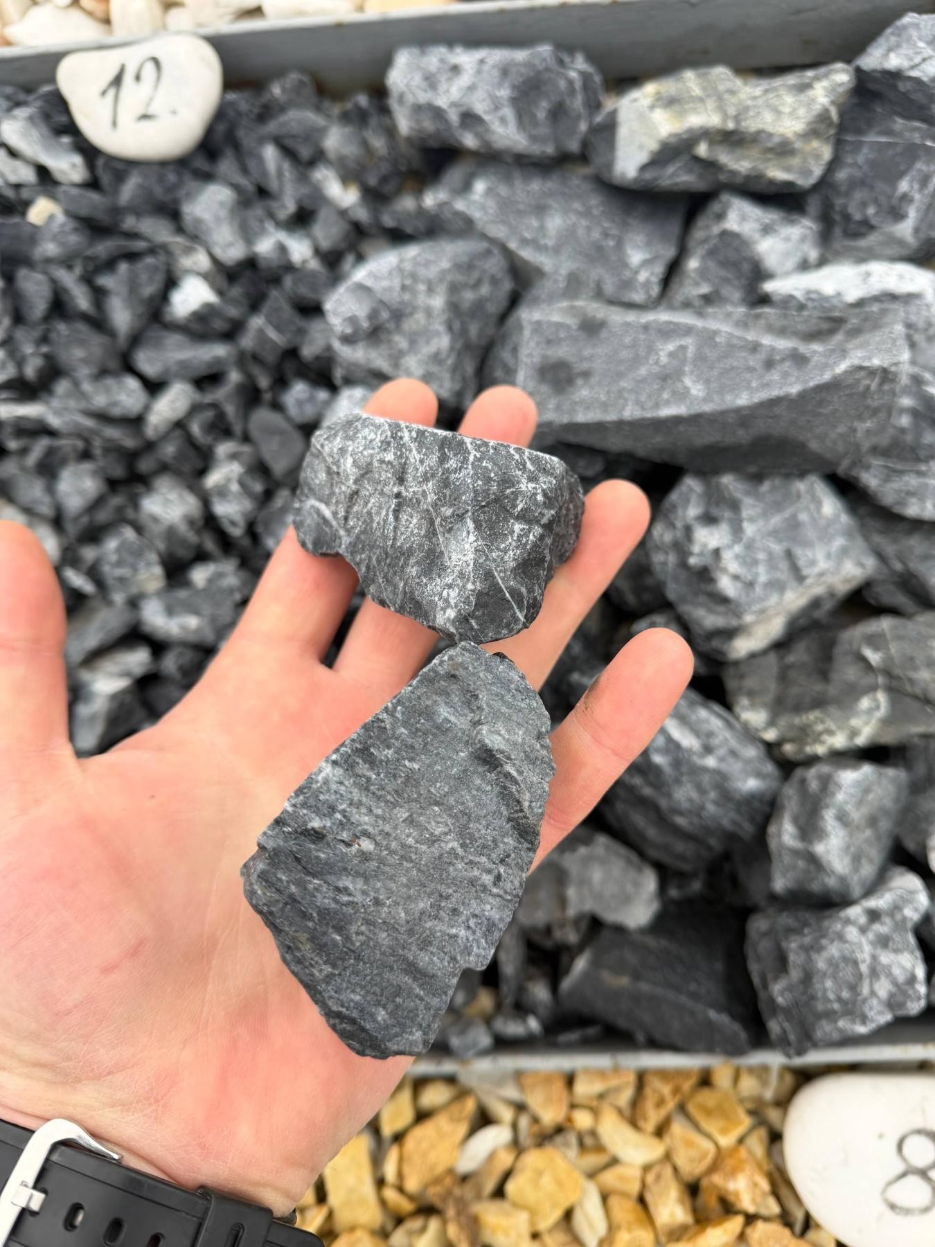 Крихта Rotanis