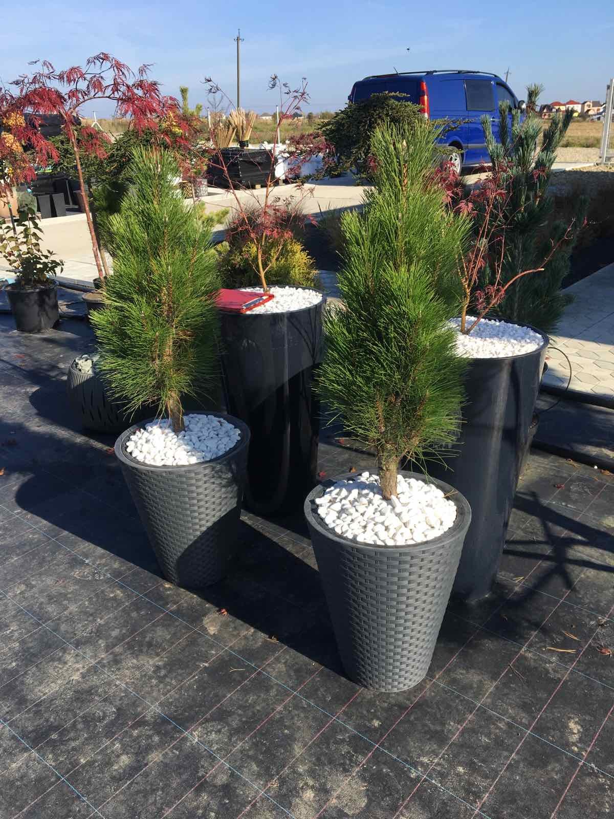 Галька біла Тассос  (Греція)